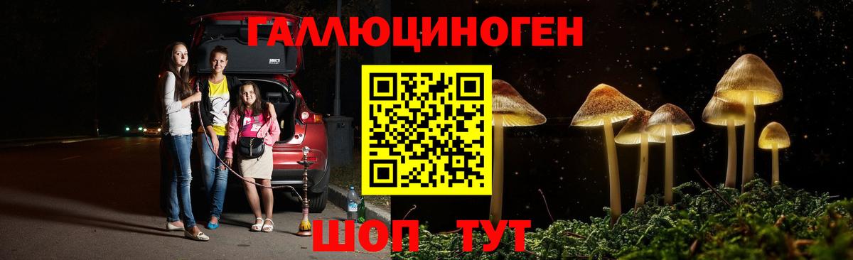 Галлюциногенные грибы мицелий  Псилоцибиновые грибы Psilocybine cubensis  Будённовск  Вход с VPN 